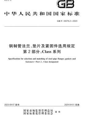 鋼制管法蘭、墊片及緊固件選用規(guī)定 第2部分：Class系列國標(biāo)/T 43079.2-2023
