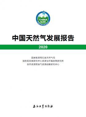 2020中國天然氣發(fā)展報告（含2017、2018、2019、2020）